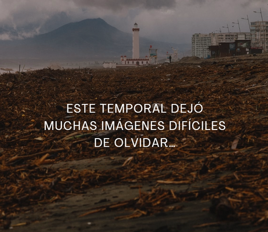 Cuando el mar devuelve lo que no le pertenece