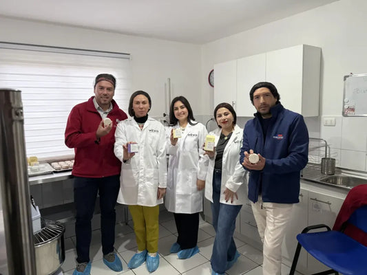 Vibra Cosmética es el punto de partida del lanzamiento regional de Capital Abeja 2025